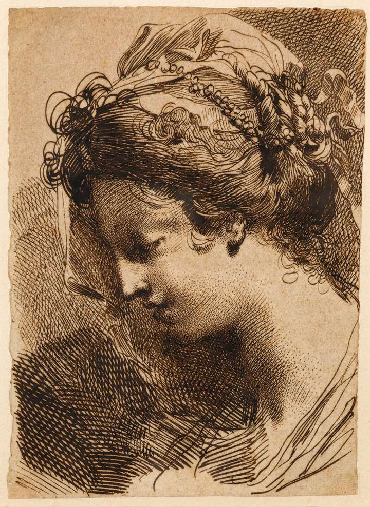 The Head of a Young Woman